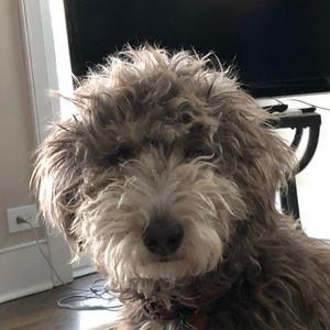 Meet your Posher, Alyvia